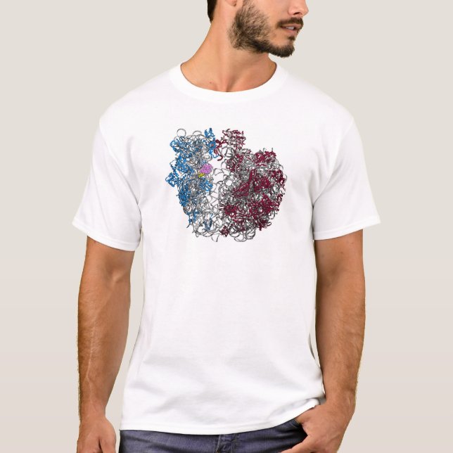 T-shirt Le ribosome - plus petit (Devant)