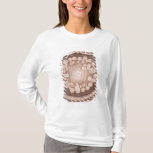 T-shirt Le système solaire