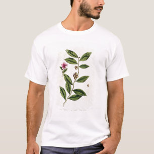 T-shirt Le thé vert, plaquent 351 "d'un de fines herbes