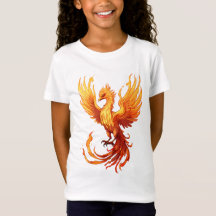 Le vol de Phoenix s'élève des cendres