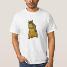 L'écureuil sur ta chemise !