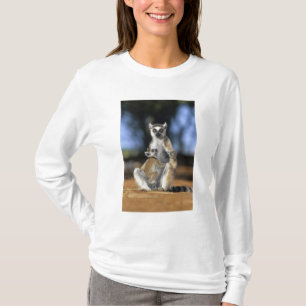T-shirt Lémur à queue annelée, (Lemur catta), Mère et