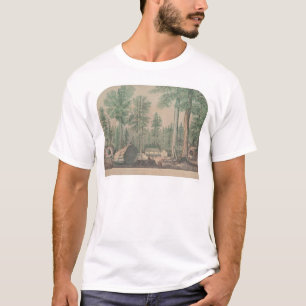 T-shirt Les arbres gigantesques de la Californie (1191)
