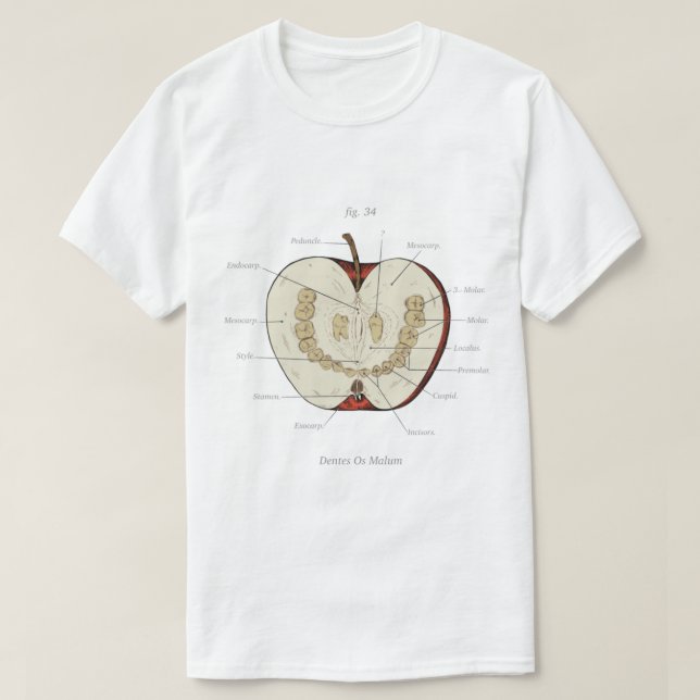 T-shirt Les Archives Magnus - Classe d'anatomie - Teeth Ap (Design devant)