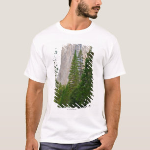 T-shirt Les Etats-Unis, la Californie, parc national de