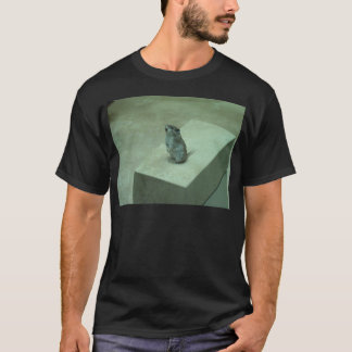 T-shirt Les hurlements de souris de tueur (leucogaster