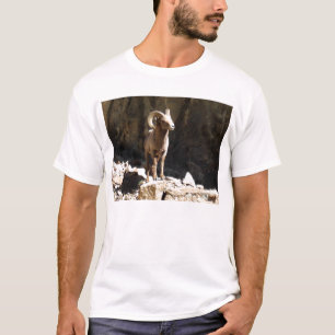 T-shirt Les mouflons d'Amérique enfoncent près des roches