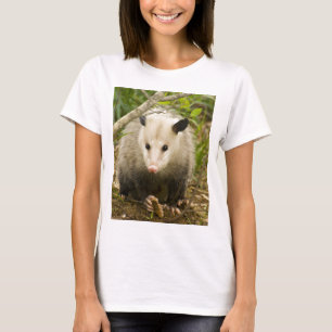 T-shirt Les opossums sont jolis - opossum Didelphimorphia