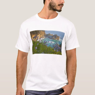 T-shirt Les Pittoresques McWay Falls tombent sur la plage.