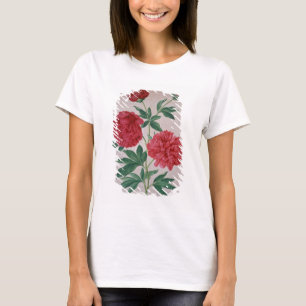 T-shirt Les pivoines, plaquent 46 du Florilegium de Nassau
