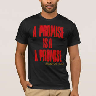 T-Shirt Les Promesses de Dieu