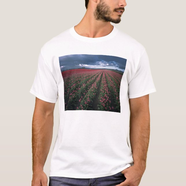 T-shirt Les tulipes roses et rouges brillent sous l'obscur (Devant)
