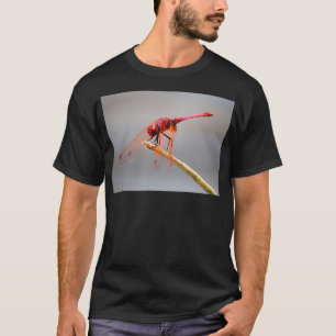 T-shirt libellule rouge 5