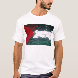 T-SHIRT LIBÉREZ GAZA !
