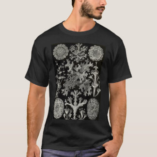 T-shirt Lichenes (Thallophytes - Lichens) - Ernst