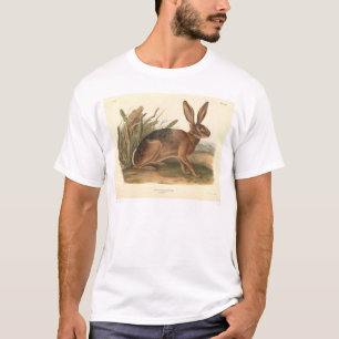 T-shirt Lièvres de la Californie par Audubon (0177A)