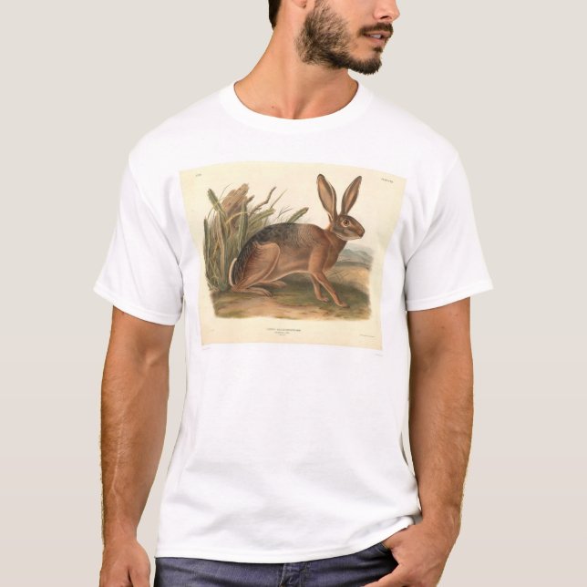 T-shirt Lièvres de la Californie par Audubon (0177A) (Devant)