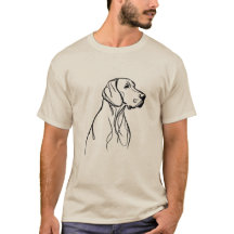 Lignes de Weim