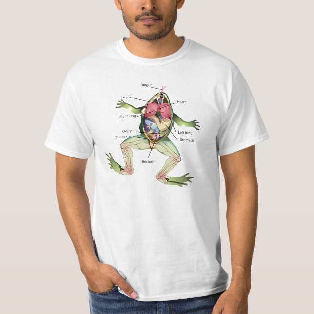 T-shirt L'illustration de l'anatomie de la grenouille (Devant)