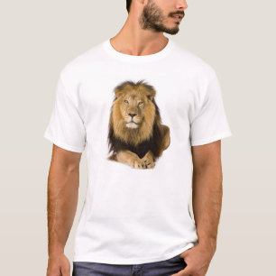 T-shirt Lion