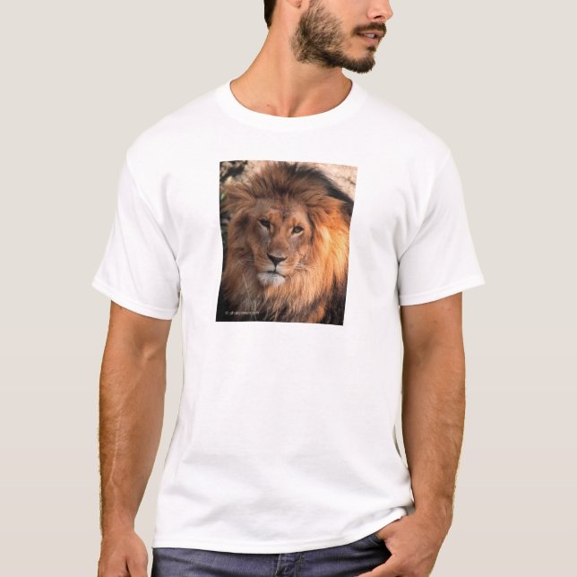 T-shirt Lion (Devant)