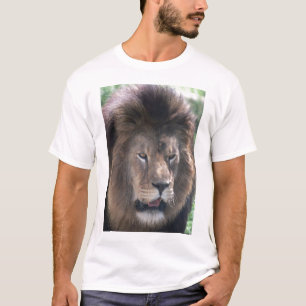T-shirt Lion