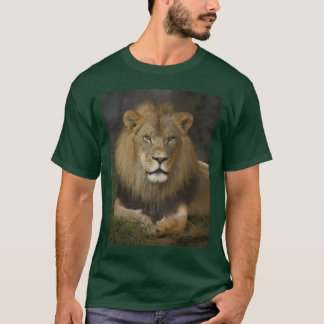 T-shirt Lion