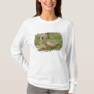 T-shirt Lionceau Jouant