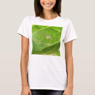 T-shirt Little Spider Ladies T Shirt