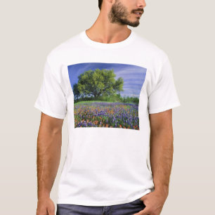 T-shirt Live Oak & Texas Paintbrush et Texas