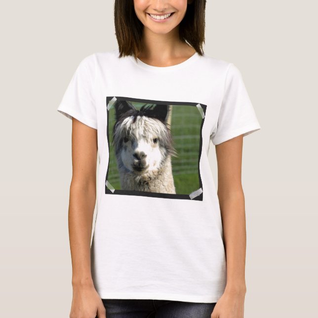 T-shirt llama-4 (Devant)