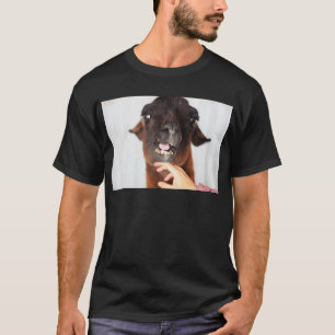 T-shirt Llama Love