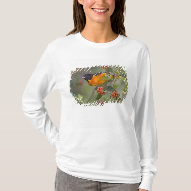 T-shirt Loriot de Baltimore (Devant)
