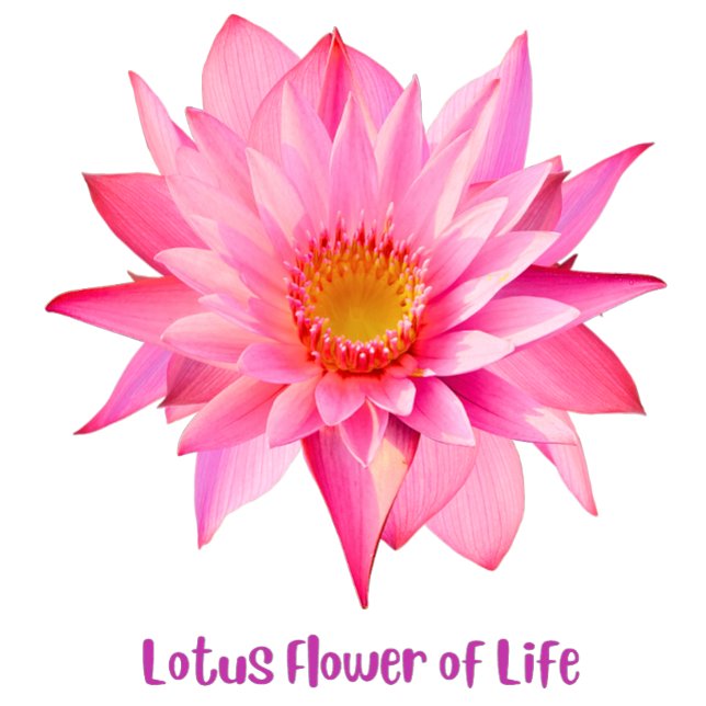 T-shirt Lotus Flower of Life (Créateur téléchargé)