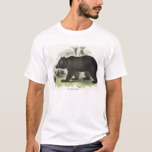 T-shirt L'ours Brown, pub éducatif d'illustration. par t