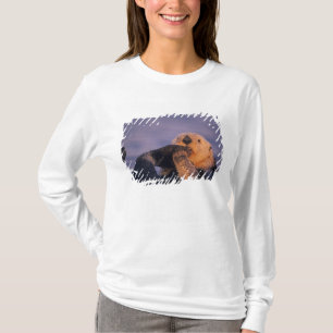 T-shirt Loutre de mer, Enhydra lutris