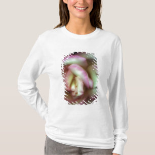 T-shirt <Love is a Rose> par Nathan Griffith