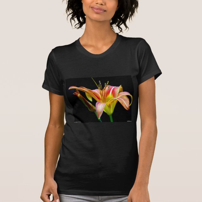 T-shirt Lovely Tawny Daylily II Vêtements et cadeaux (Devant)