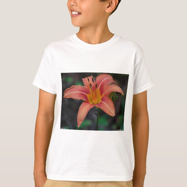 T-shirt Lovely Tawny Daylily Vêtements et cadeaux (Devant)