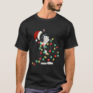 T-shirt Lumières de Noël de chat arbre chapeau de Père Noë