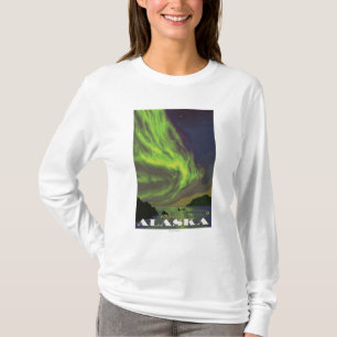 T-shirt Lumières du nord et orques - Wrangell, Alaska