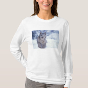 T-shirt Lynx dans la neige au pied des collines