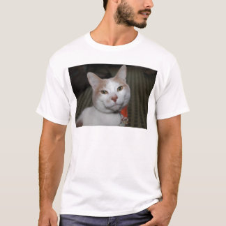 T-shirt M. Peabody !