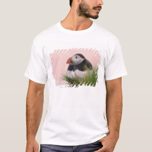T-shirt Macareux moine (Fratercula arctica)