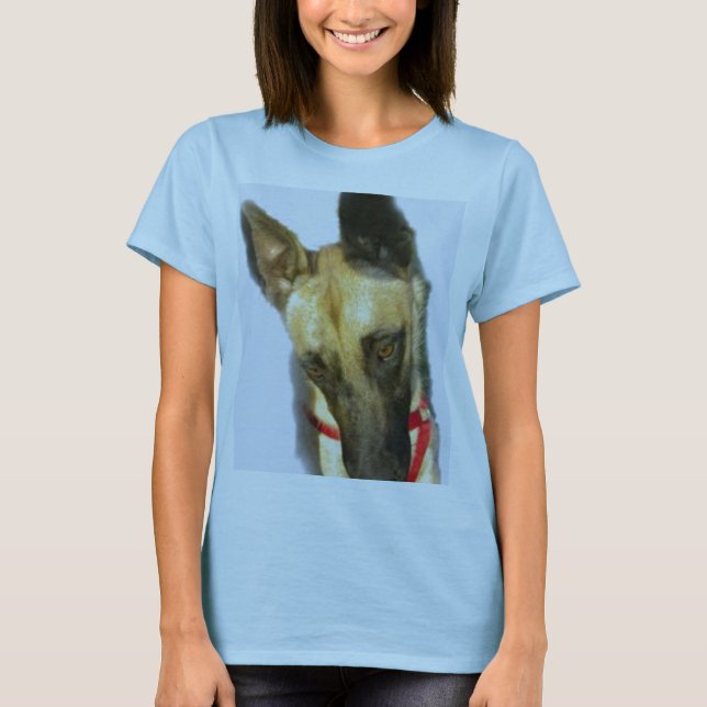 T-shirt Malanois belges (Devant)