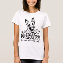 Maligator Belge Malinois