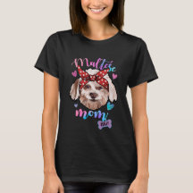 Maman Chien Maltese Maman Chien Maman Maman