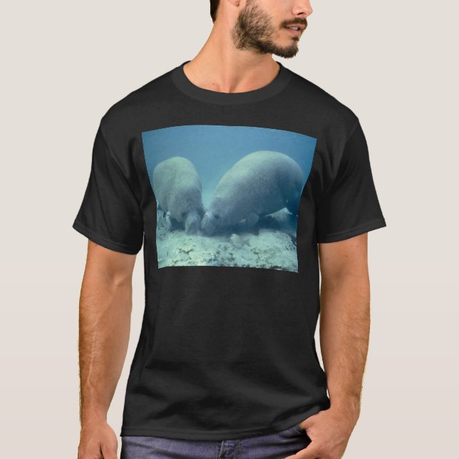 T-shirt Manatee (Devant)