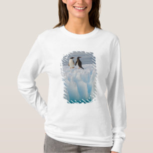 T-shirt manchot gentoo, Pygoscelis Papua, sur de la glace 