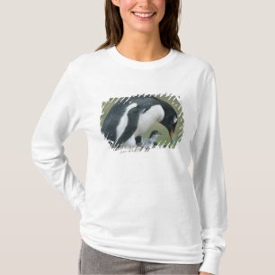 T-shirt Manchot papou, (Pygoscelis papua), Falkland